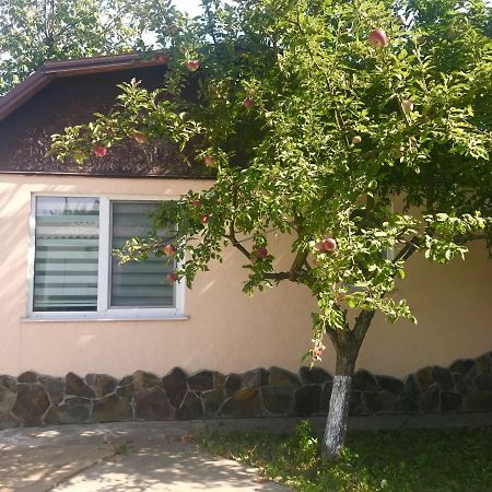 קייב Apartments With Kitchen And Garden מראה חיצוני תמונה