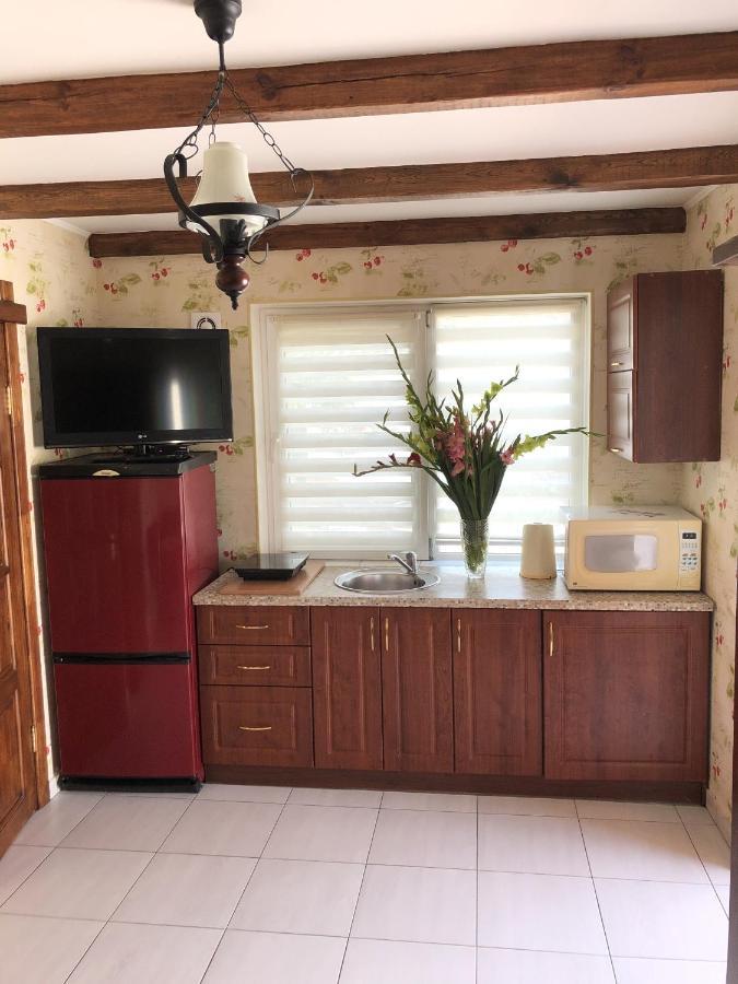 קייב Apartments With Kitchen And Garden מראה חיצוני תמונה