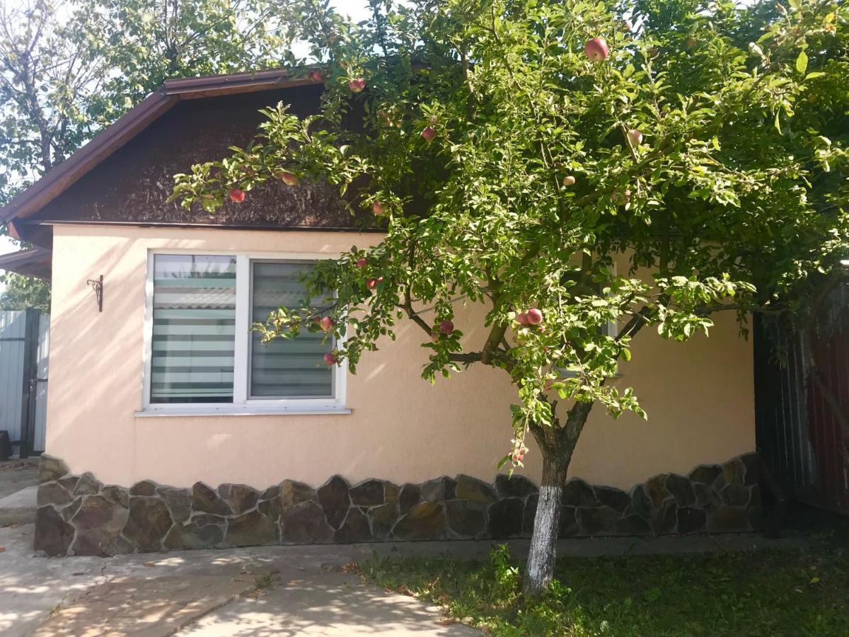 קייב Apartments With Kitchen And Garden מראה חיצוני תמונה